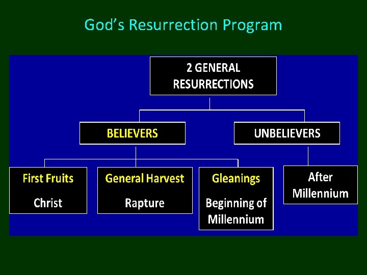 God’s Resurrection Program God’s Resurrection Program