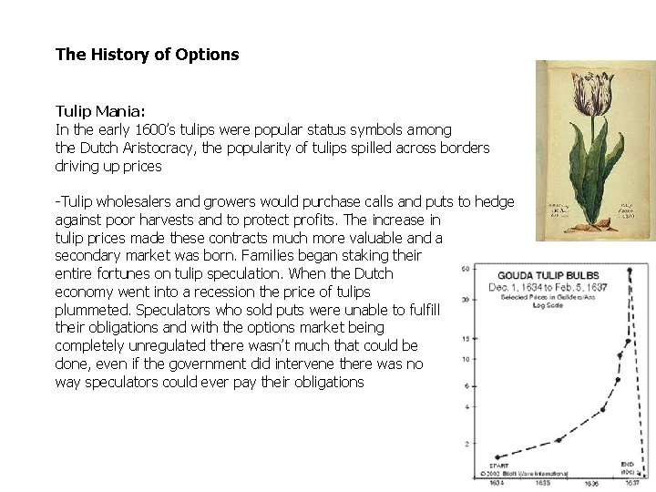 The History of Options Tulip Mania: In the early 1600’s tulips were popular status The History of Options Tulip Mania: In the early 1600’s tulips were popular status