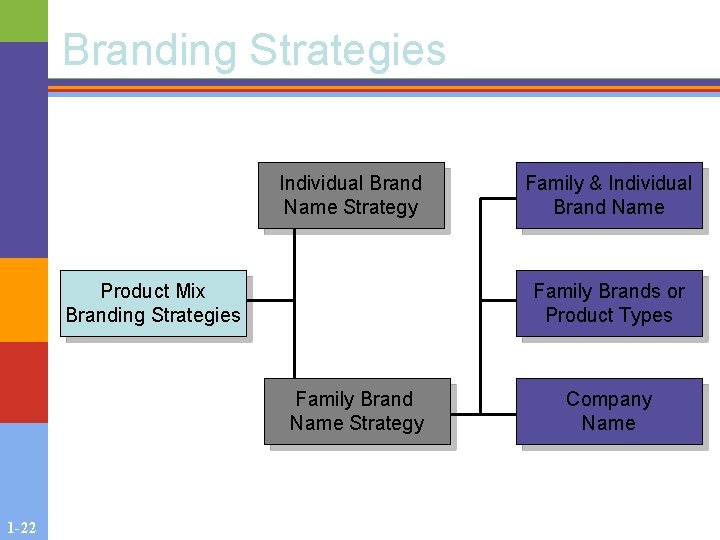 Branding Strategies Individual Brand Name Strategy Product Mix Branding Strategies Family Brands or Product