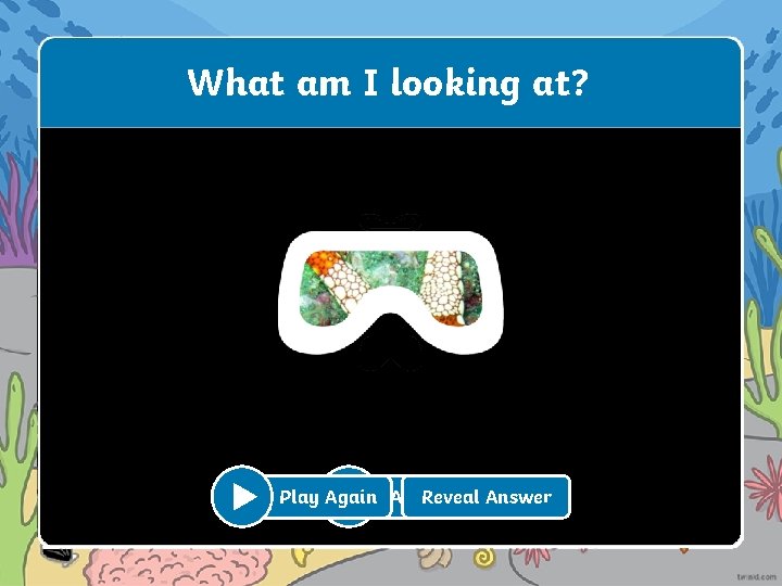 What am I looking at? Reveal Answer Play Again Play Reveal Answer 