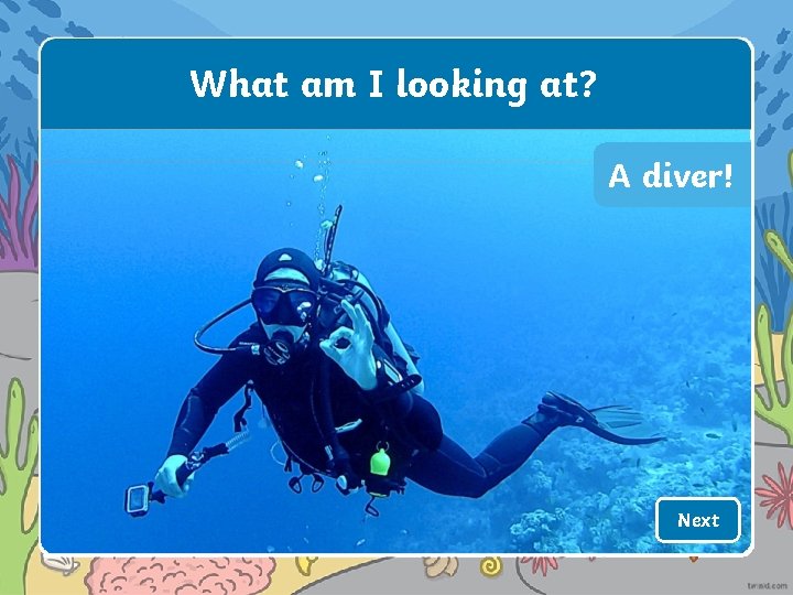 What am I looking at? A diver! Next 