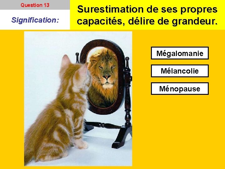 Question 13 Signification: Surestimation de ses propres capacités, délire de grandeur. Mégalomanie Mélancolie Ménopause