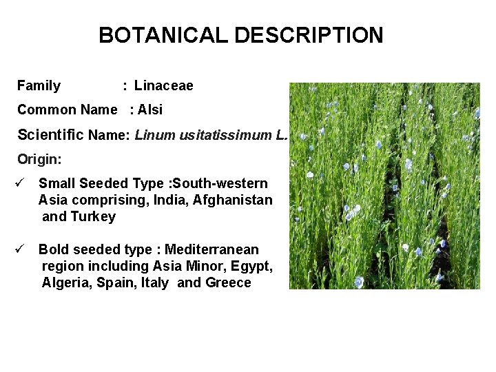 BOTANICAL DESCRIPTION Family : Linaceae Common Name : Alsi Scientific Name: Linum usitatissimum L.