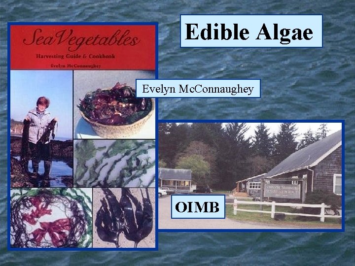 Edible Algae Evelyn Mc. Connaughey OIMB 