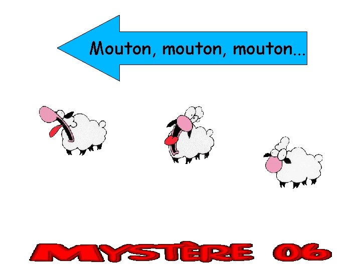 Mouton, mouton. . . 