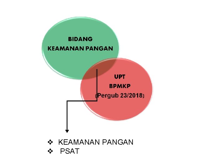 v KEAMANAN PANGAN v PSAT 