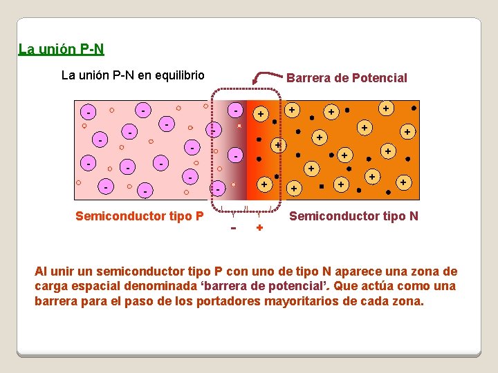 La unión P-N en equilibrio Barrera de Potencial - - - - Semiconductor tipo