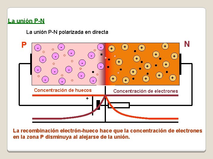 La unión P-N polarizada en directa P - - - - + + +