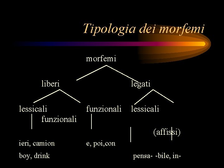 Tipologia dei morfemi liberi lessicali funzionali legati funzionali lessicali (affissi) ieri, camion boy, drink