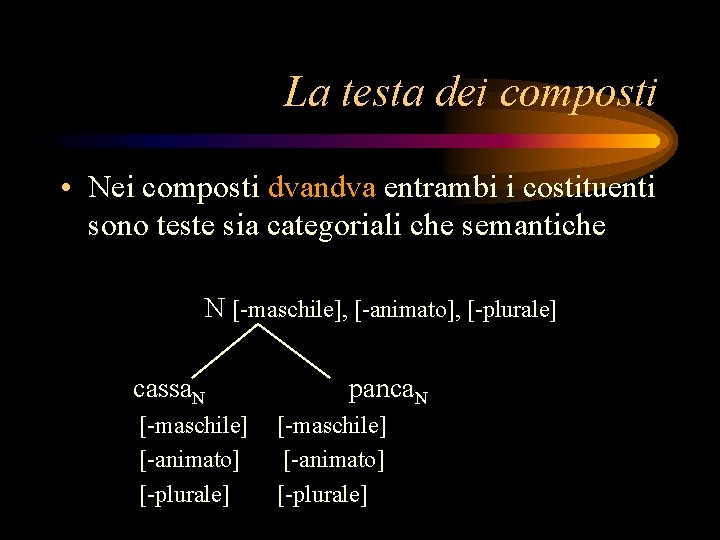 La testa dei composti • Nei composti dvandva entrambi i costituenti sono teste sia