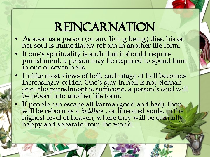 Reincarnation • As soon as a person (or any living being) dies, his or