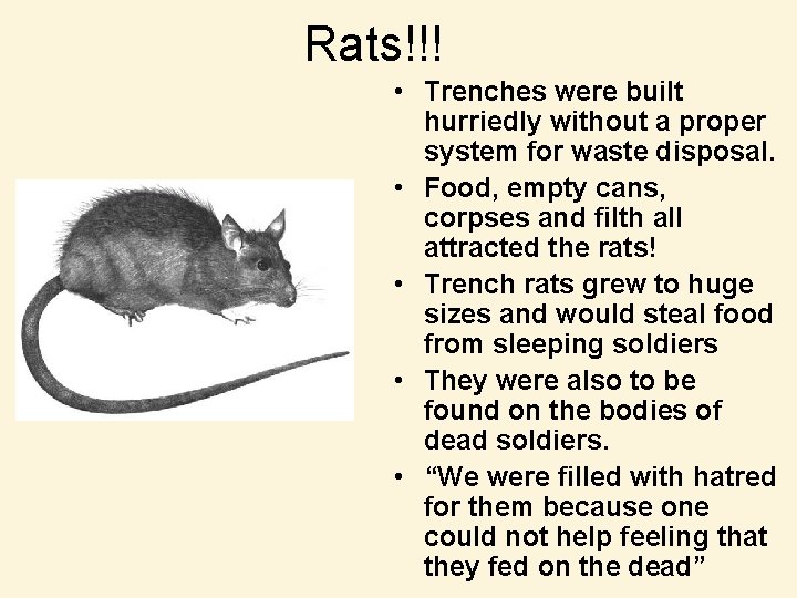 Rats!!! • Trenches were built hurriedly without a proper system for waste disposal. •