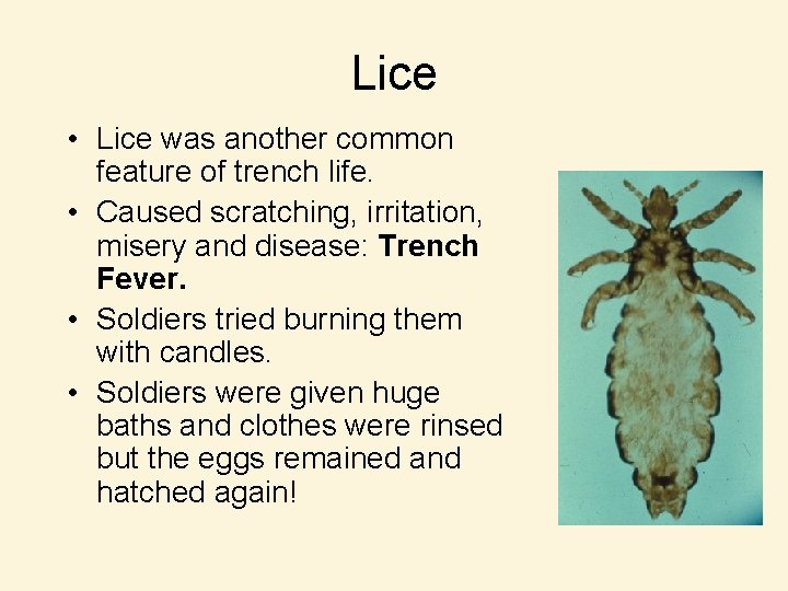 Lice • Lice was another common feature of trench life. • Caused scratching, irritation,