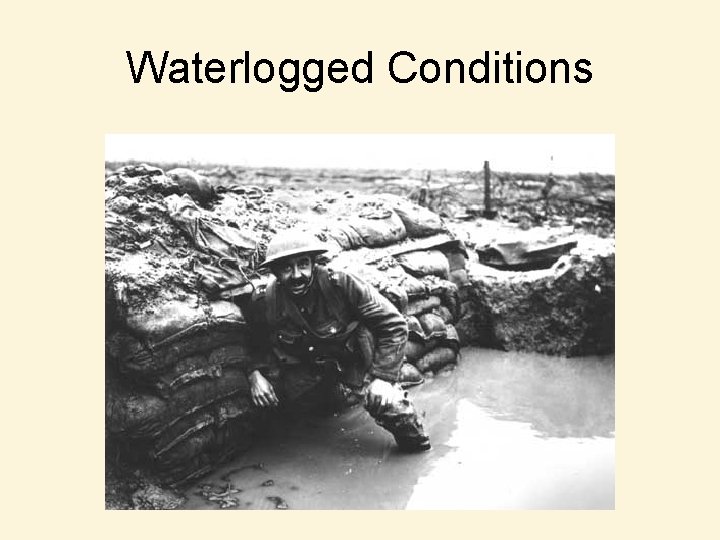 Waterlogged Conditions 