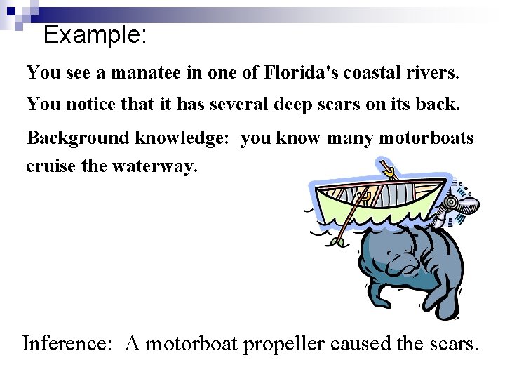 Example: You see a manatee in one of Florida's coastal rivers. You notice that