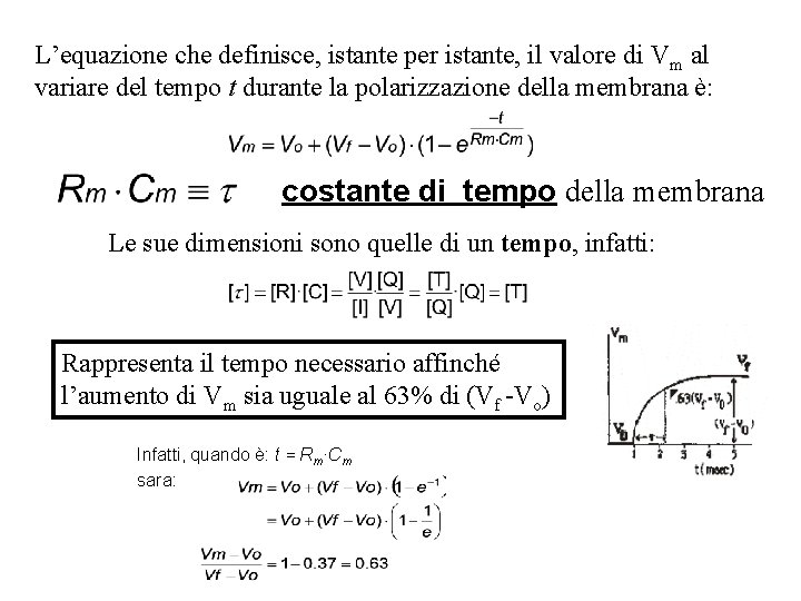 L’equazione che definisce, istante per istante, il valore di Vm al variare del tempo L’equazione che definisce, istante per istante, il valore di Vm al variare del tempo