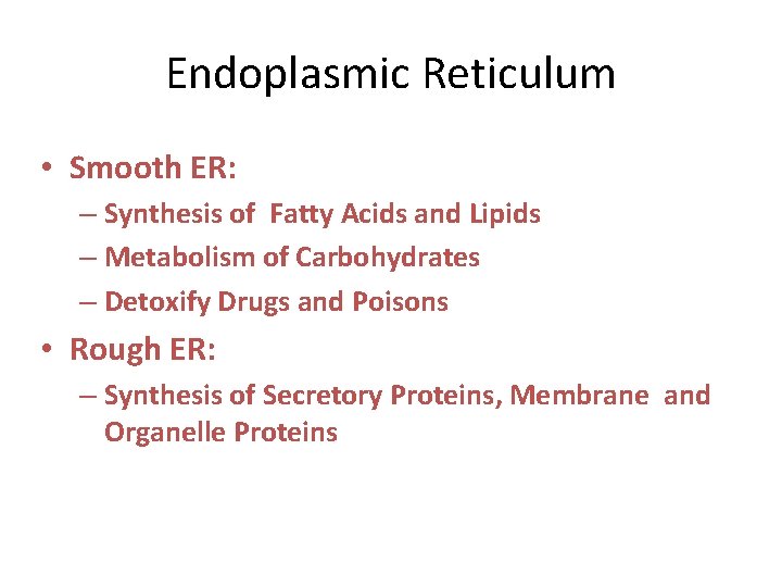 Endoplasmic Reticulum • Smooth ER: – Synthesis of Fatty Acids and Lipids – Metabolism