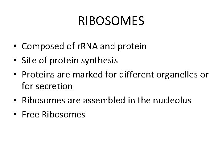 RIBOSOMES • Composed of r. RNA and protein • Site of protein synthesis •