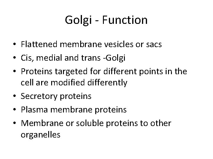 Golgi - Function • Flattened membrane vesicles or sacs • Cis, medial and trans
