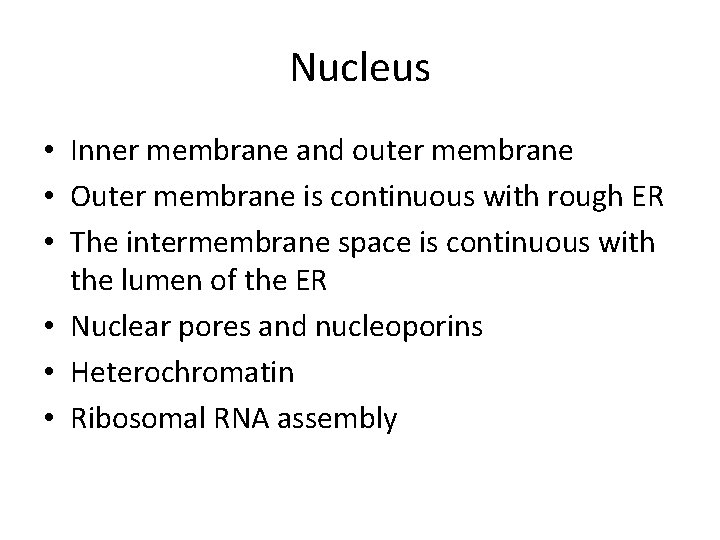 Nucleus • Inner membrane and outer membrane • Outer membrane is continuous with rough
