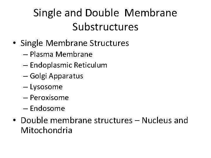 Single and Double Membrane Substructures • Single Membrane Structures – Plasma Membrane – Endoplasmic