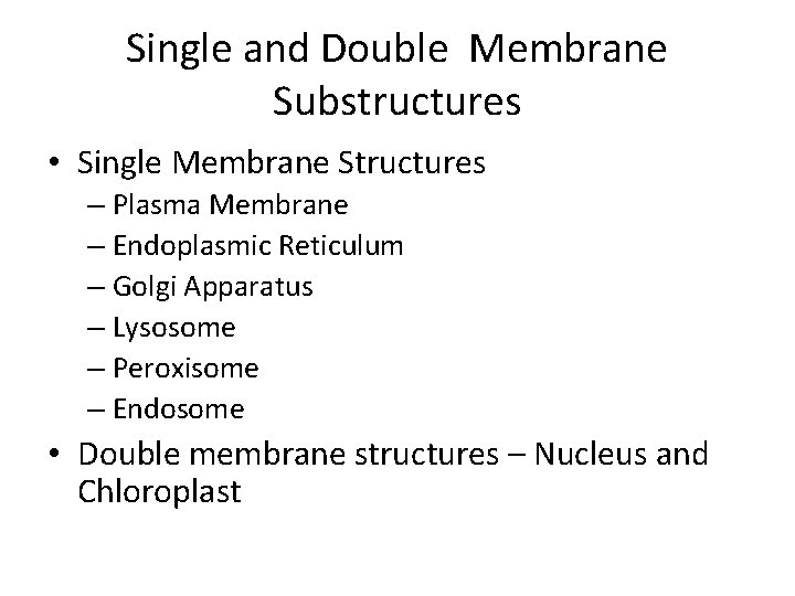 Single and Double Membrane Substructures • Single Membrane Structures – Plasma Membrane – Endoplasmic