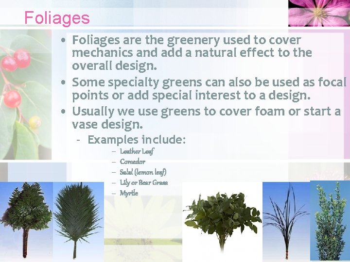 Foliages • Foliages are the greenery used to cover mechanics and add a natural