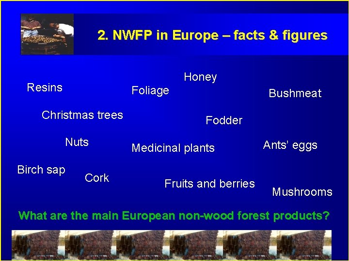 2. NWFP in Europe – facts & figures Honey Resins Foliage Christmas trees Nuts