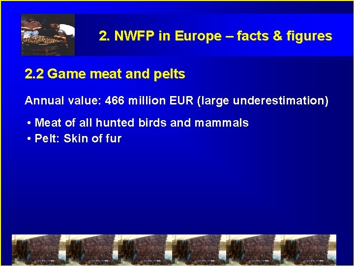 2. NWFP in Europe – facts & figures 2. 2 Game meat and pelts