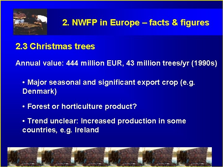 2. NWFP in Europe – facts & figures 2. 3 Christmas trees Annual value: