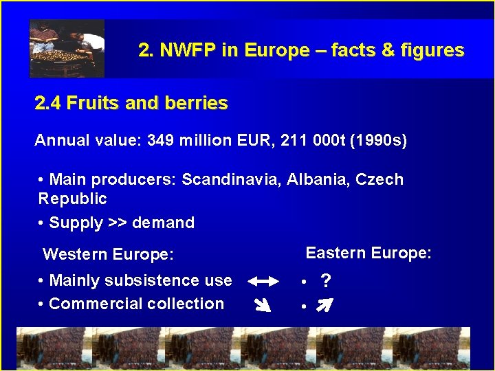 2. NWFP in Europe – facts & figures 2. 4 Fruits and berries Annual
