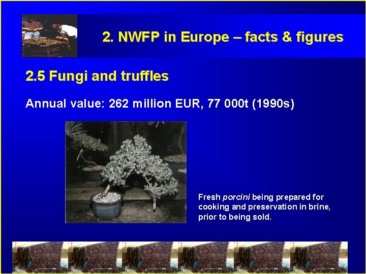 2. NWFP in Europe – facts & figures 2. 5 Fungi and truffles Annual