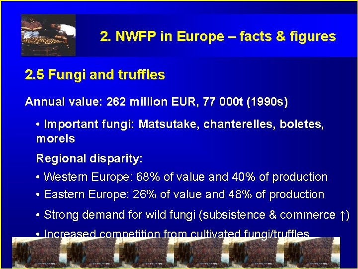 2. NWFP in Europe – facts & figures 2. 5 Fungi and truffles Annual