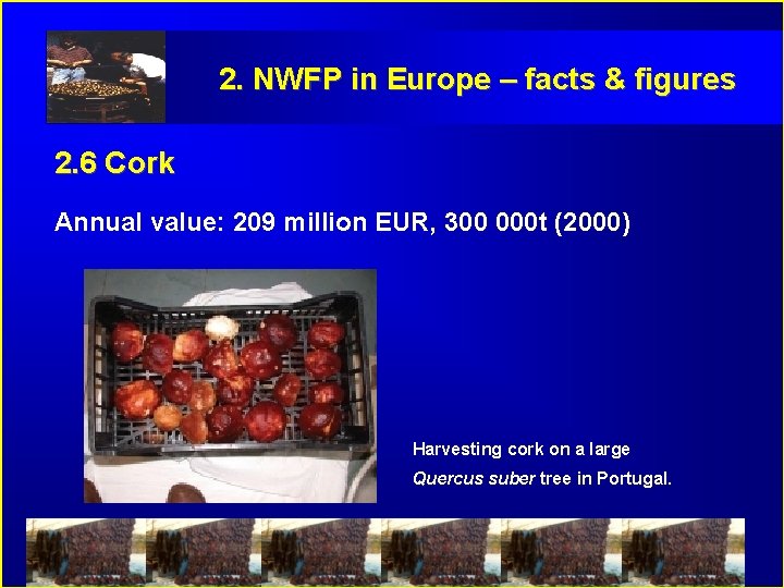 2. NWFP in Europe – facts & figures 2. 6 Cork Annual value: 209