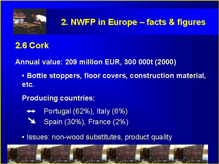 2. NWFP in Europe – facts & figures 2. 6 Cork Annual value: 209