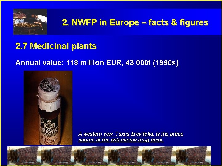 2. NWFP in Europe – facts & figures 2. 7 Medicinal plants Annual value: