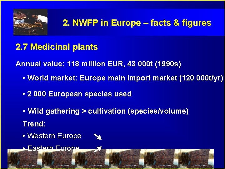 2. NWFP in Europe – facts & figures 2. 7 Medicinal plants Annual value: