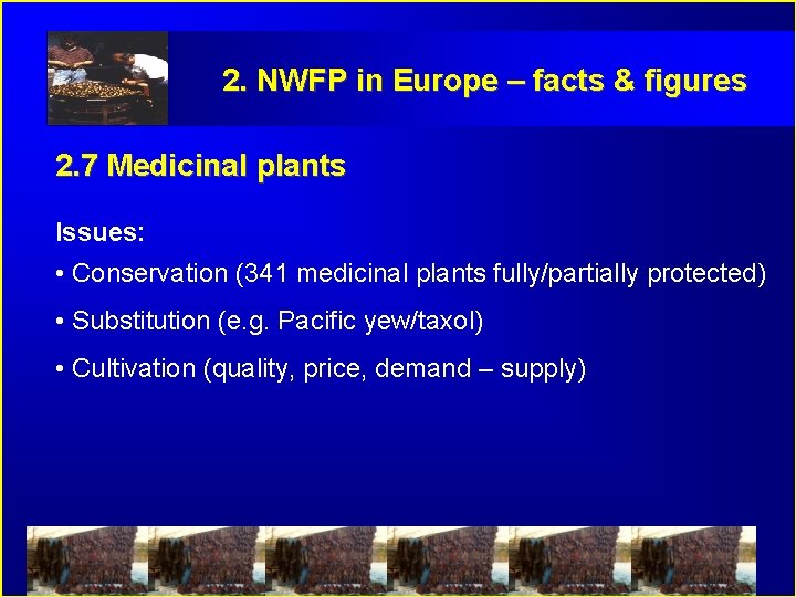 2. NWFP in Europe – facts & figures 2. 7 Medicinal plants Issues: •