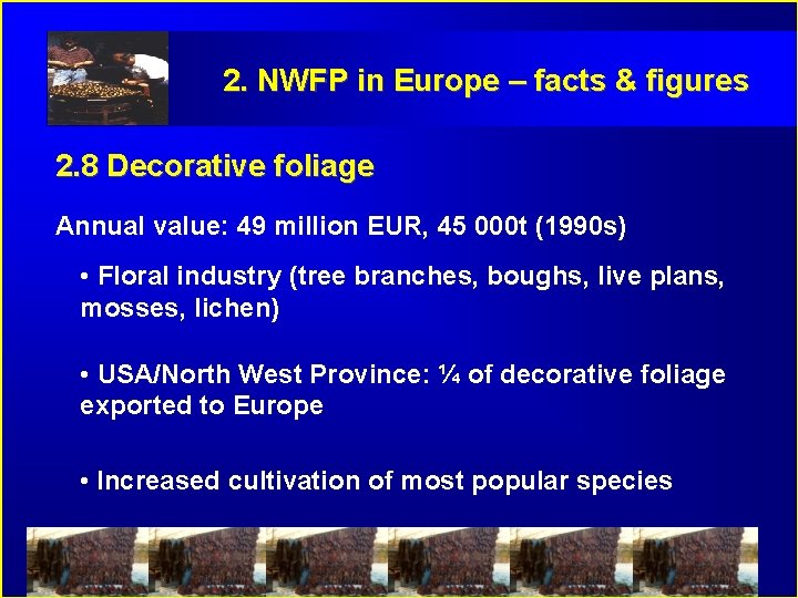 2. NWFP in Europe – facts & figures 2. 8 Decorative foliage Annual value: