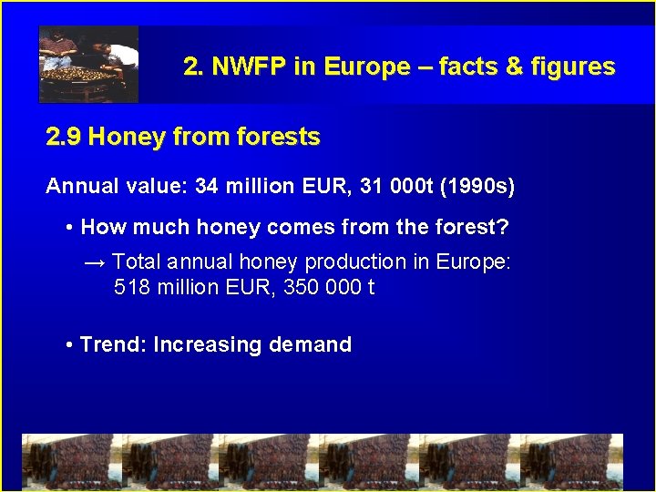 2. NWFP in Europe – facts & figures 2. 9 Honey from forests Annual