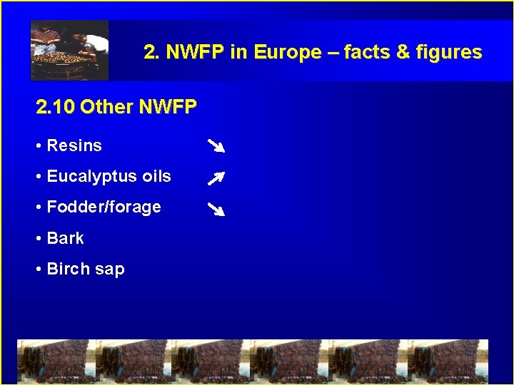 2. NWFP in Europe – facts & figures 2. 10 Other NWFP • Resins