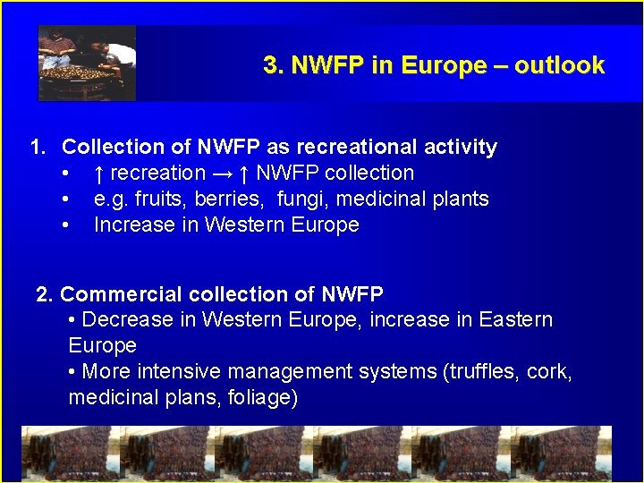 3. NWFP in Europe – outlook 1. Collection of NWFP as recreational activity •