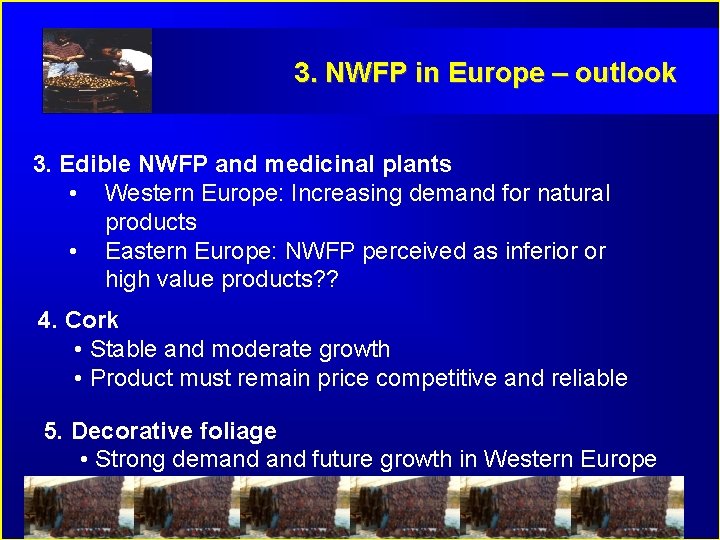 3. NWFP in Europe – outlook 3. Edible NWFP and medicinal plants • Western