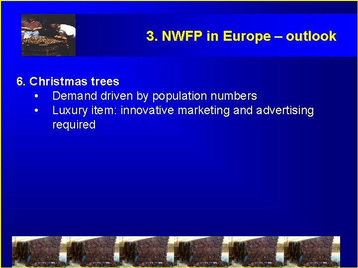 3. NWFP in Europe – outlook 6. Christmas trees • Demand driven by population