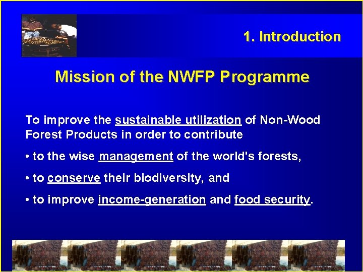 1. Introduction Mission of the NWFP Programme To improve the sustainable utilization of Non-Wood