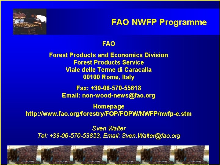 FAO NWFP Programme FAO Forest Products and Economics Division Forest Products Service Viale delle