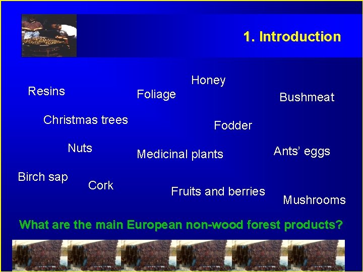 1. Introduction Honey Resins Foliage Christmas trees Nuts Birch sap Cork Bushmeat Fodder Medicinal