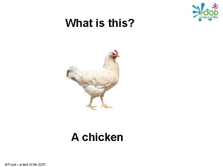 What is this? A chicken © Food – a fact of life 2007 