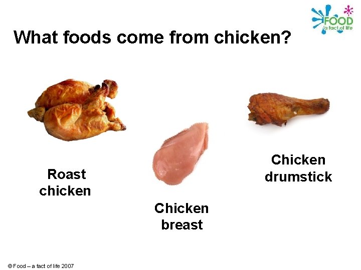 What foods come from chicken? Chicken drumstick Roast chicken Chicken breast © Food –