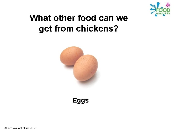 What other food can we get from chickens? Eggs © Food – a fact